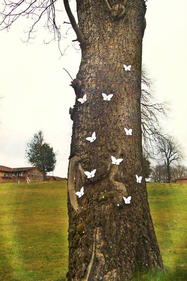 White Butterflies in Scotland